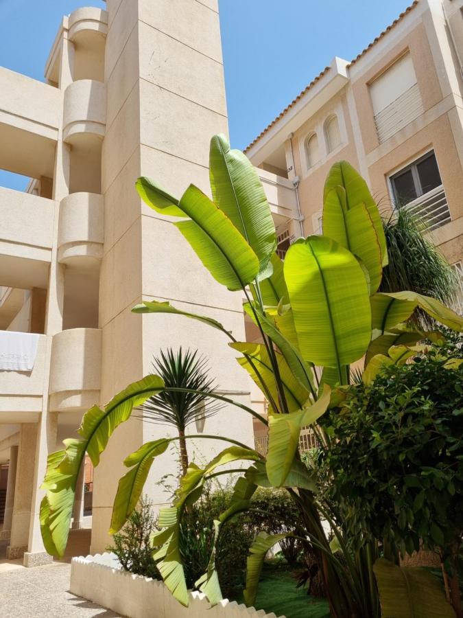 Flamenco Penthouse Sea View & Swimming Pool Apartman Torrevieja Kültér fotó